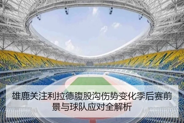雄鹿关注利拉德腹股沟伤势变化季后赛前景与球队应对全解析